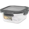 Lock & Lock Frischhaltedose Borosilikat Eckig 0,5 L -Alessi-Shop Frischhaltedose Deckel grau Borosilikat eckig 500ml 1 600x600 ID322539 201971c3b628df41c92f5a0ec24bdce8